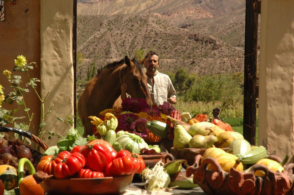 فيلا Solar Del Tropico هواكاليرا المظهر الخارجي الصورة